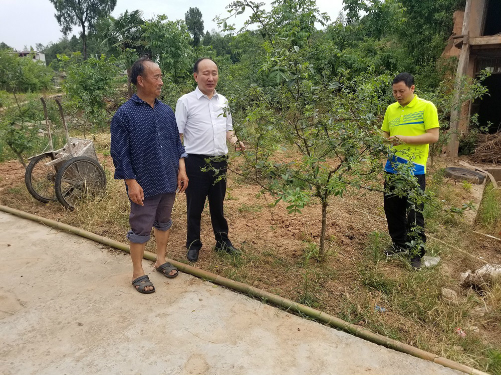 2020060916102902.jpg 2020060916102902.jpg