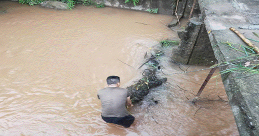 image001.gif