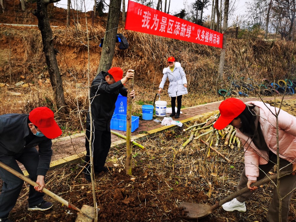 4-开展植树.jpg