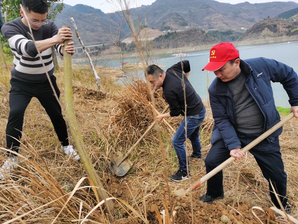 5-李浩生局长亲自植树.jpg