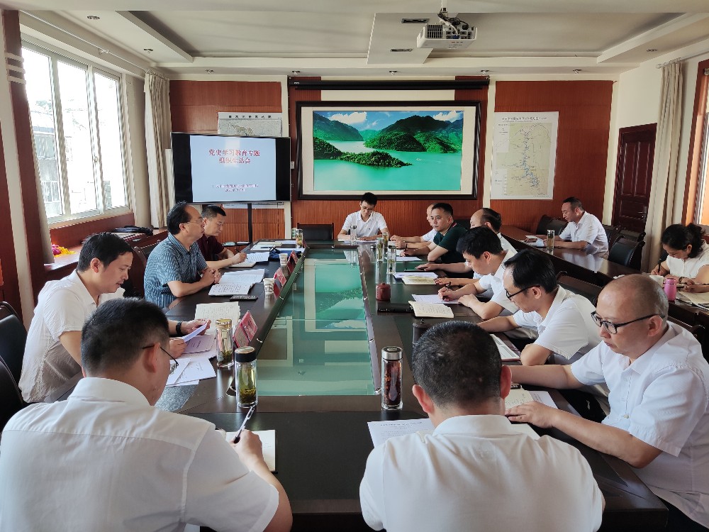 8.2党史学习生活会.jpg