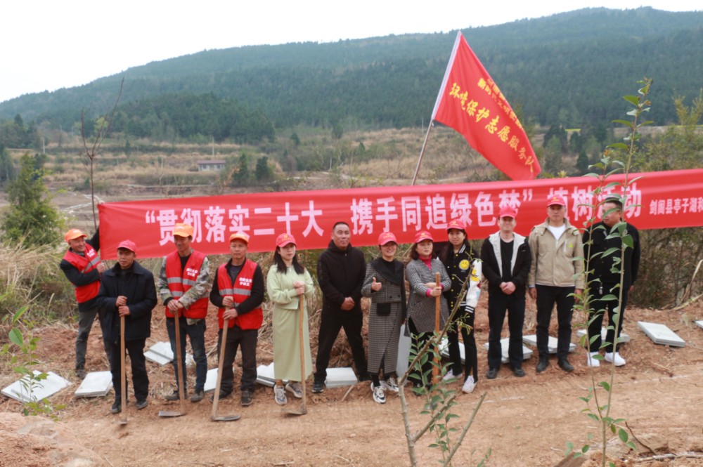 植树1.jpg