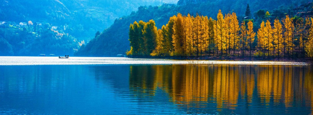 9左坝湿地.jpg